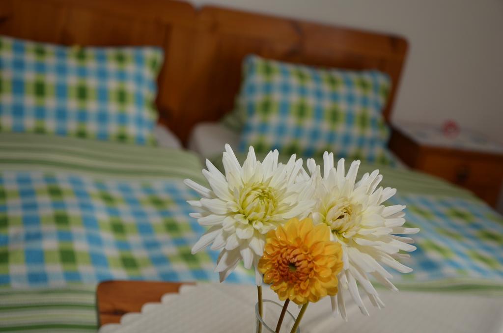 Haus Dachstein Schnitzer Hotel Ебен им Понгау Стая снимка