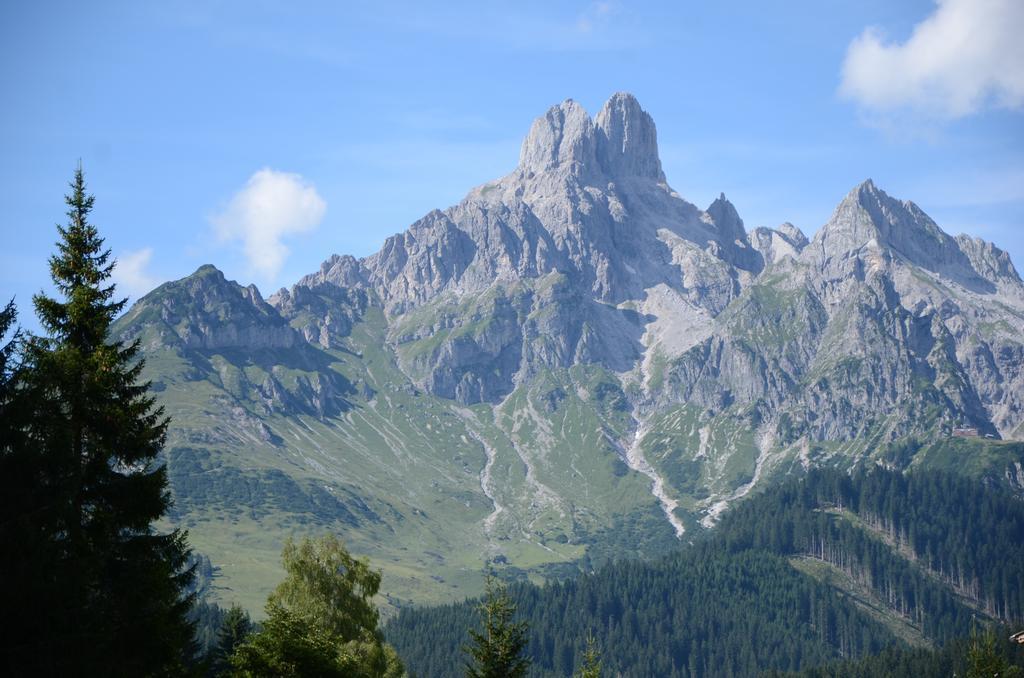 Haus Dachstein Schnitzer Hotel Ебен им Понгау Екстериор снимка